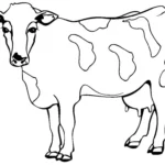 Vacas Animais Vacas Desenhos para colorir