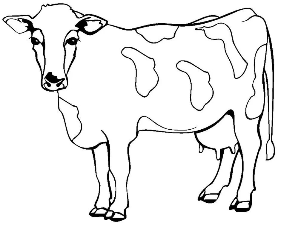 Desenhos para colorir de desenho de uma vaca maluca para colorir