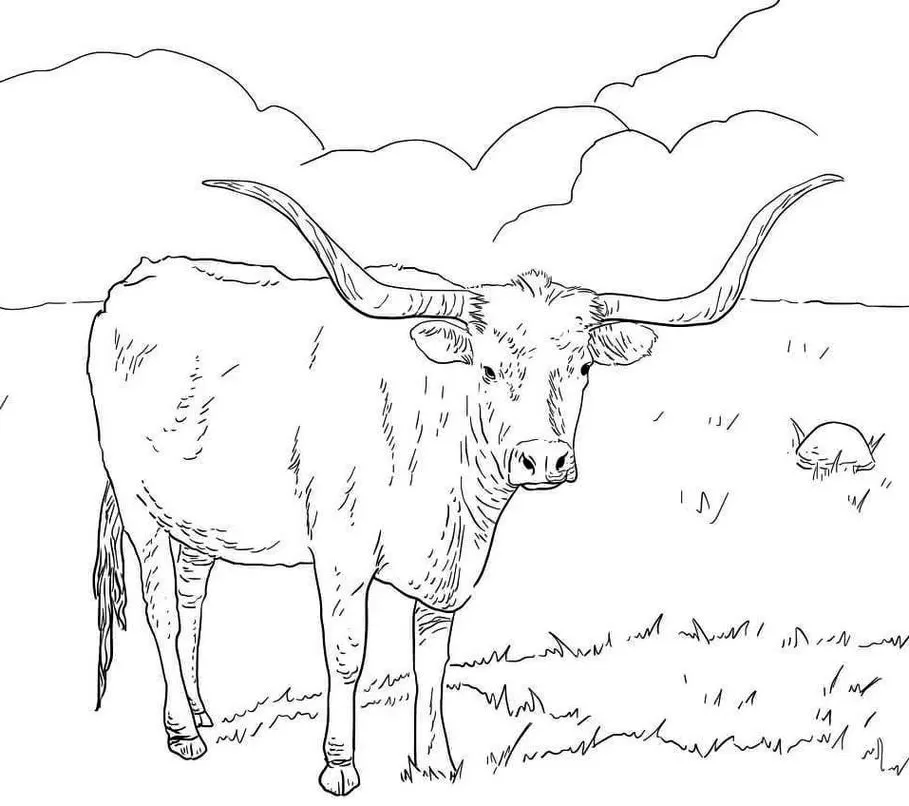 Vaca com Chifres Grandes para Colorir em Paisagem Campestre