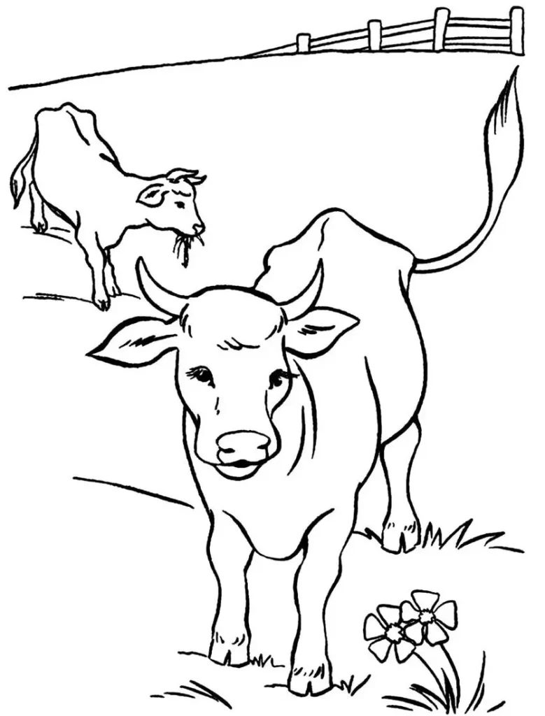 Vacas no campo: desenho para colorir com detalhes de uma paisagem rural.