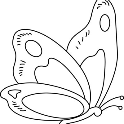 Desenhos de Borboletas em PDF para colorir - Desenhos Imprimir