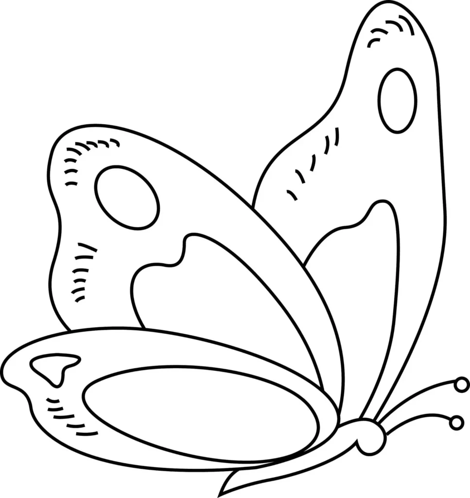 Borboleta com padrões decorativos nas asas para colorir em PDF