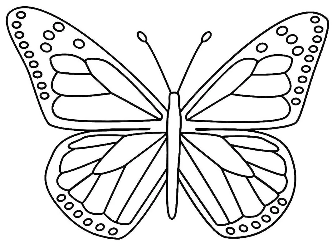 Borboleta Mandala em PDF para Colorir: Desenho estilizado com asas adornadas e círculos.
