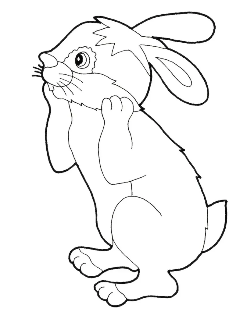 Coelho grandão para colorir em PDF: Desenho de arte final