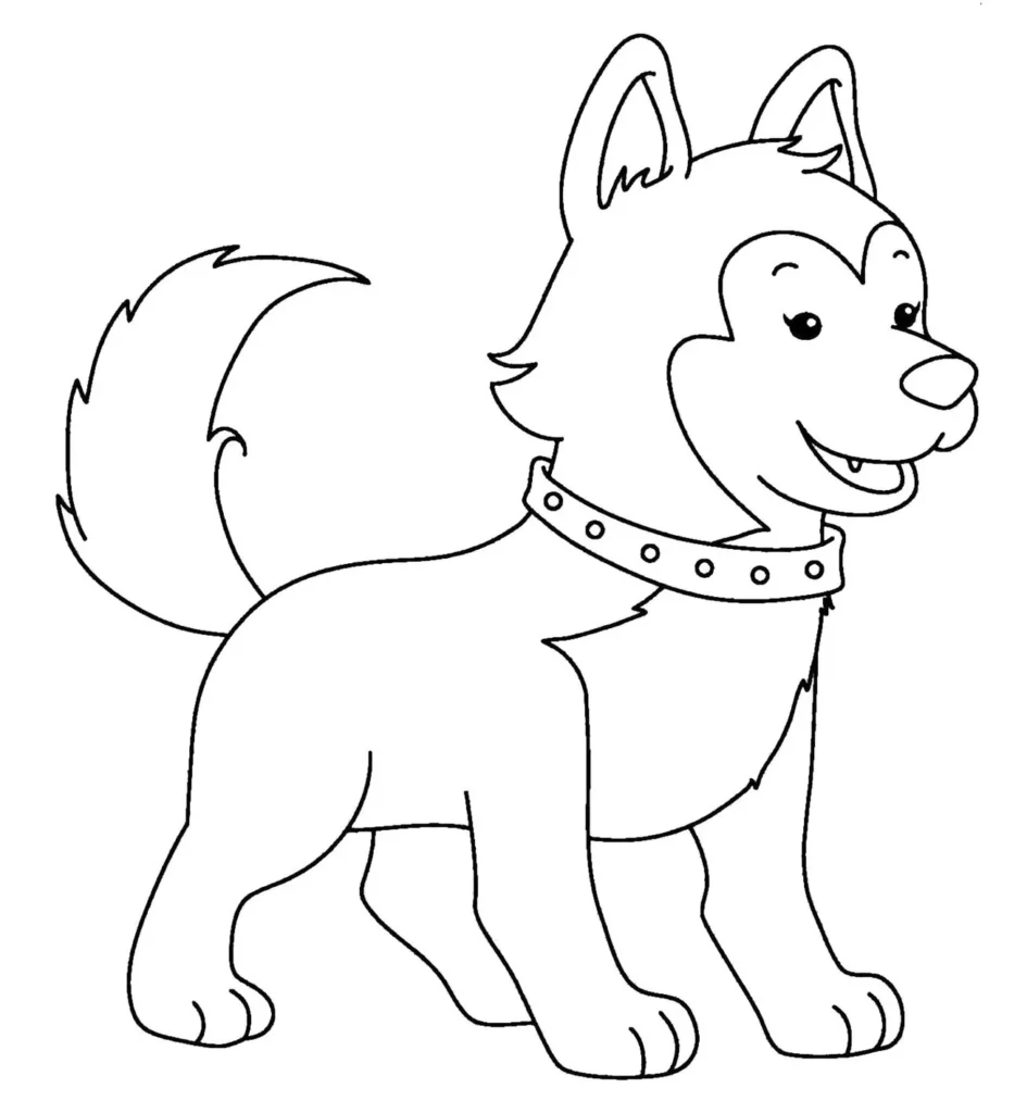Lobo-guará para colorir em PDF: Husky sorrindo com coleira