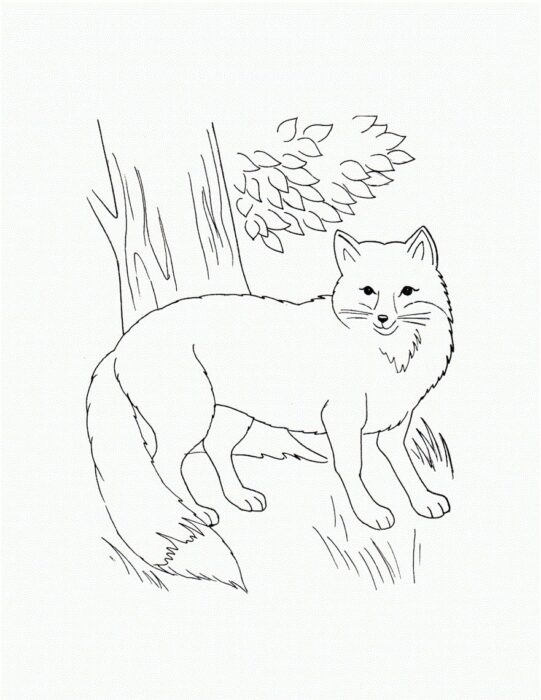 Lobo e Árvore: Desenho para Colorir em PDF