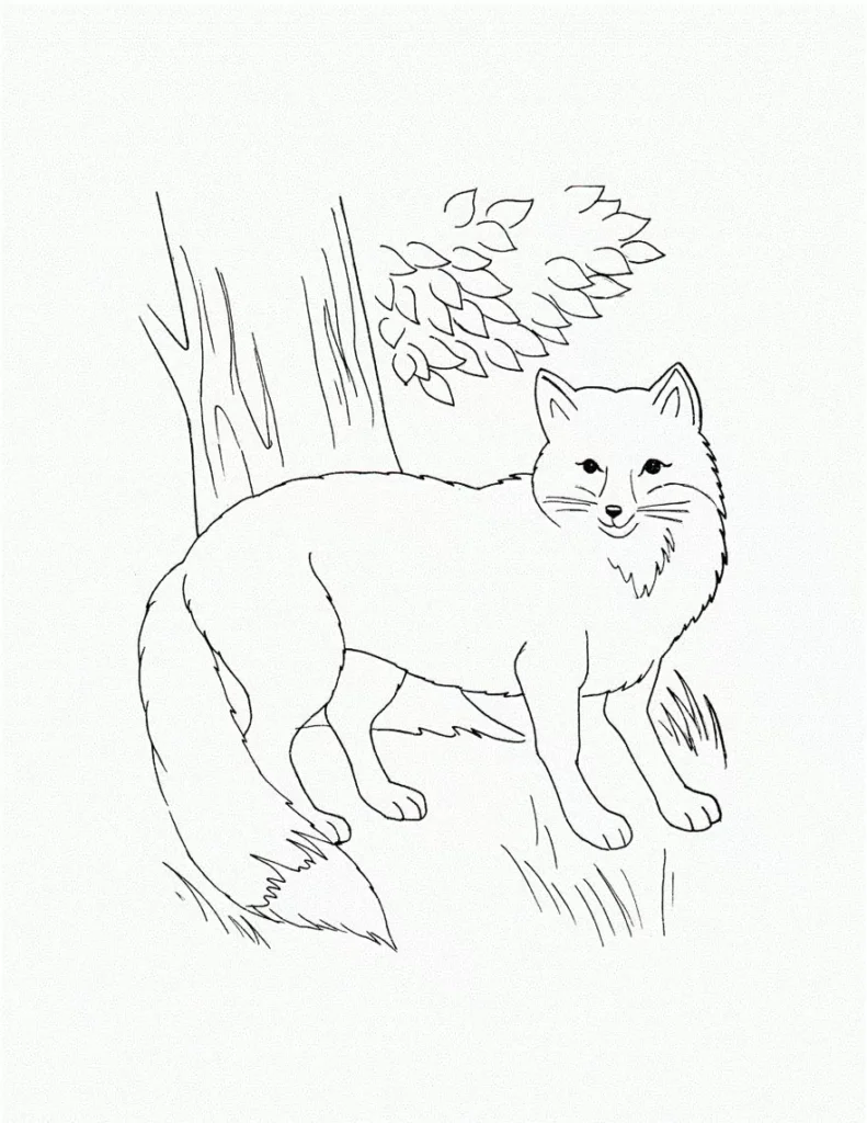 Lobo e Árvore: Desenho para Colorir em PDF