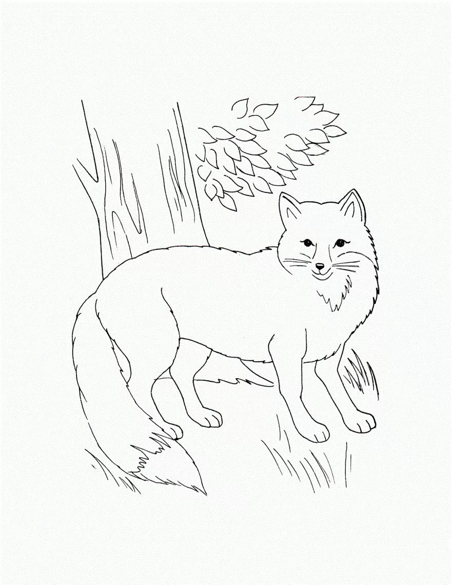 Lobo e Árvore: Desenho para Colorir em PDF
