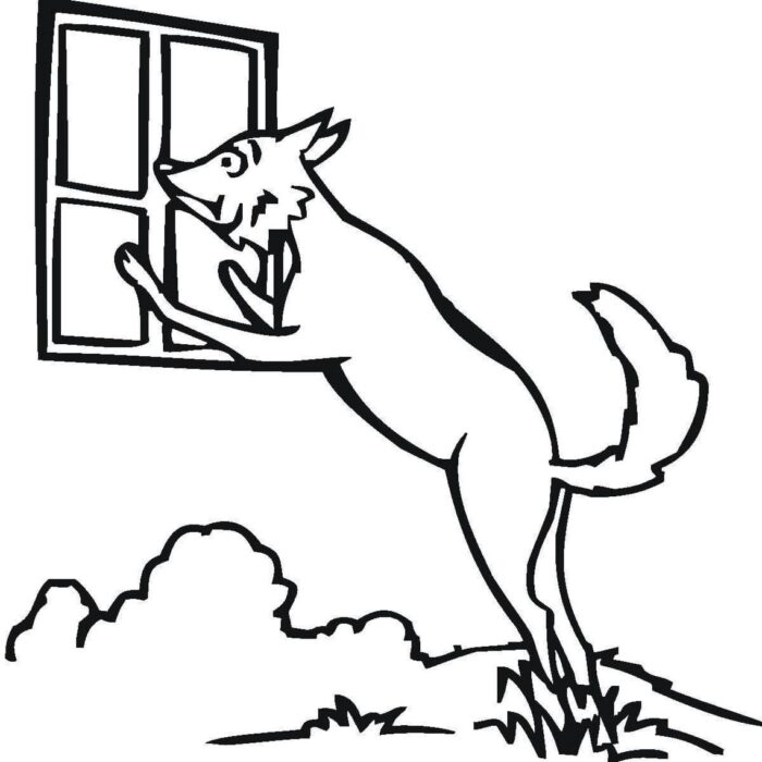 Lobo na janela: desenho em PDF para colorir