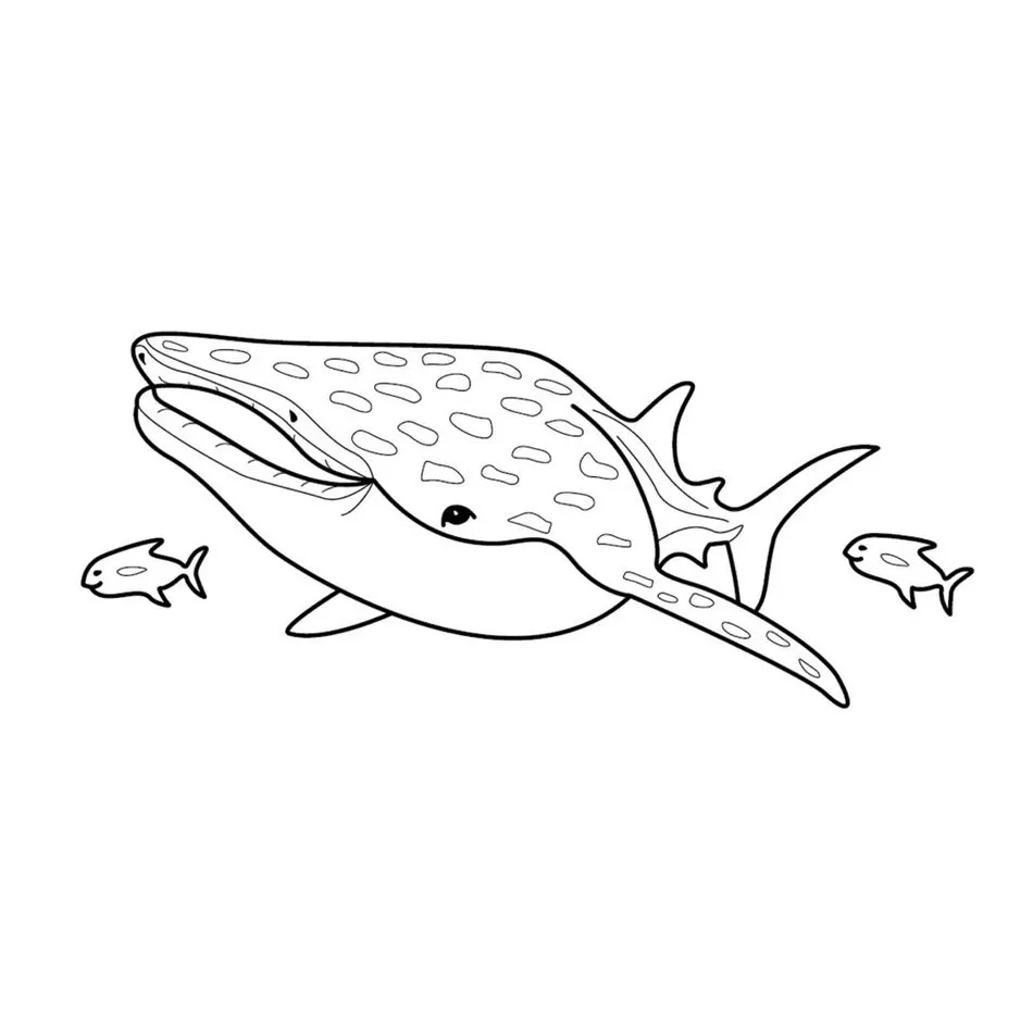 Tubarões para pintar
