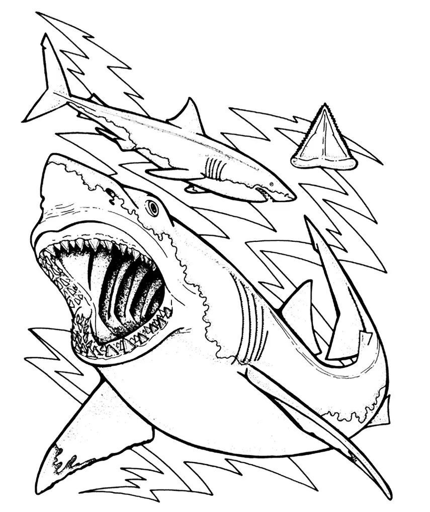 Desenho de tubarões com boca aberta para colorir em PDF. Arte com dois tubarões e dente estilizado.