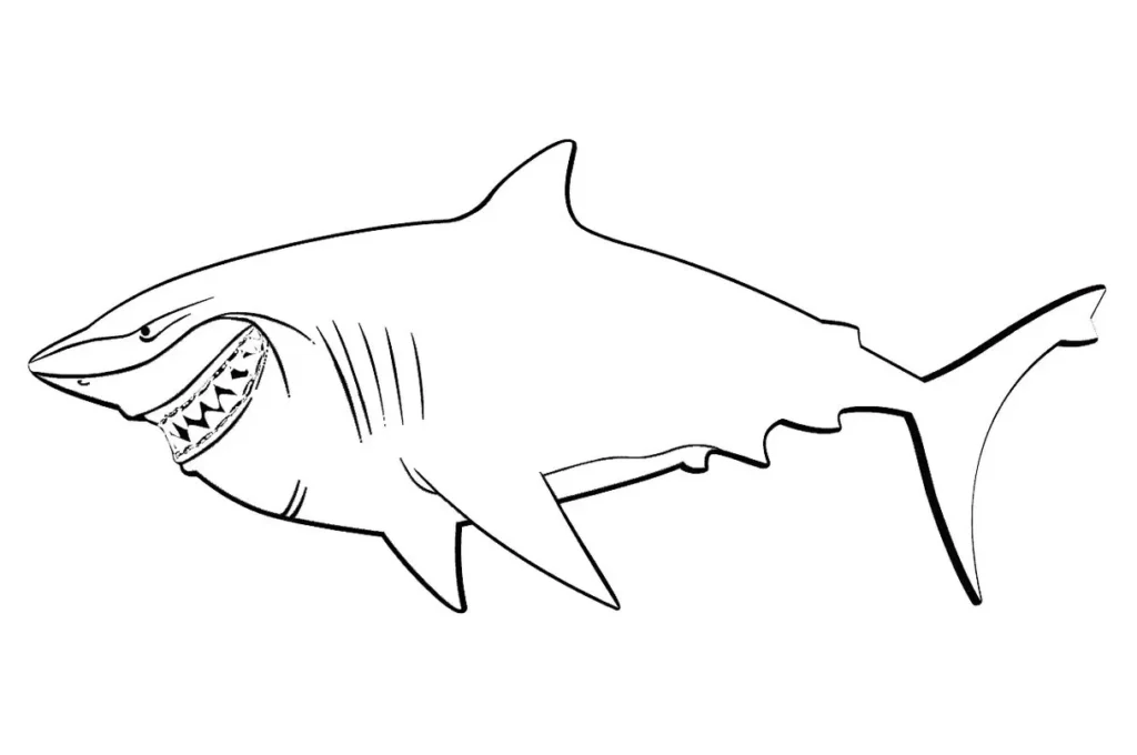 Tubarão Dentuço para colorir em PDF: boca aberta e dentes à mostra.