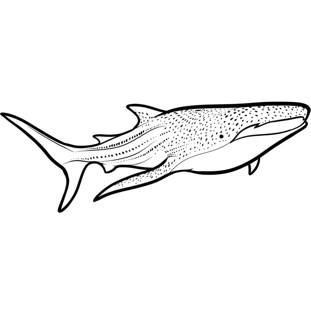 Tubarão-baleia com corpo pontilhado para colorir em PDF.