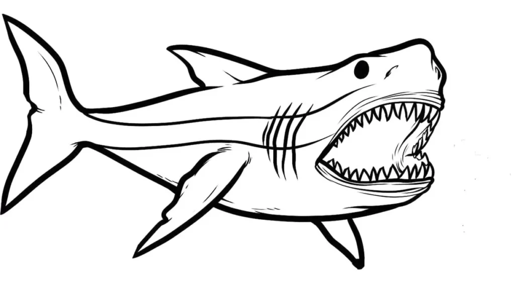 Tubarão com muitos dentes para colorir em PDF