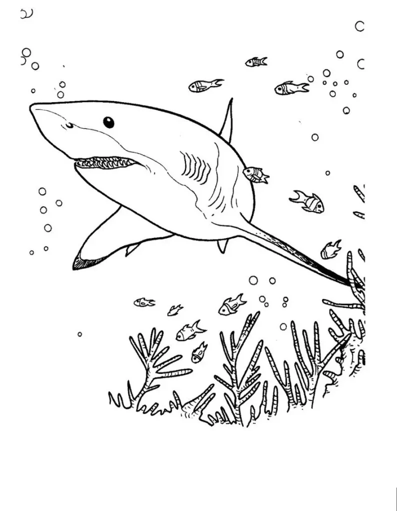 Tubarão Rei do Mar nadando em seu habitat, cercado por peixes e plantas marinhas. Desenho para colorir.