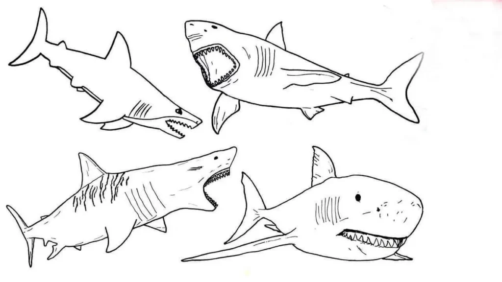 Conjunto de desenhos de tubarões em PDF para colorir. Diversos estilos e poses.