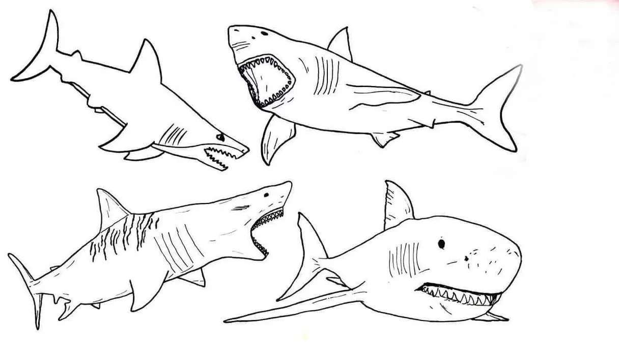 Conjunto de desenhos de tubarões em PDF para colorir. Diversos estilos e poses.