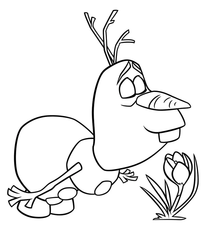 Olaf de Frozen admirando flor: desenho para colorir em PDF