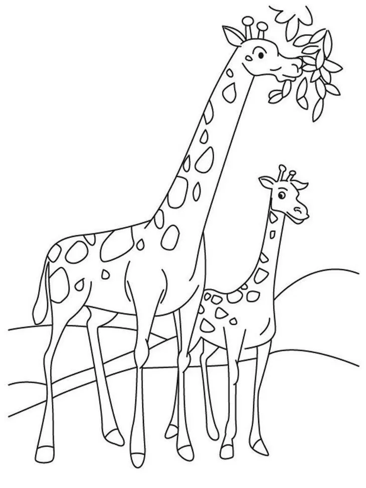 Girafas comendo folhas: desenho em PDF para colorir com girafa adulta e filhote em paisagem campestre.