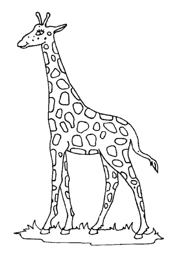 Girafa para colorir na grama: Desenho em PDF