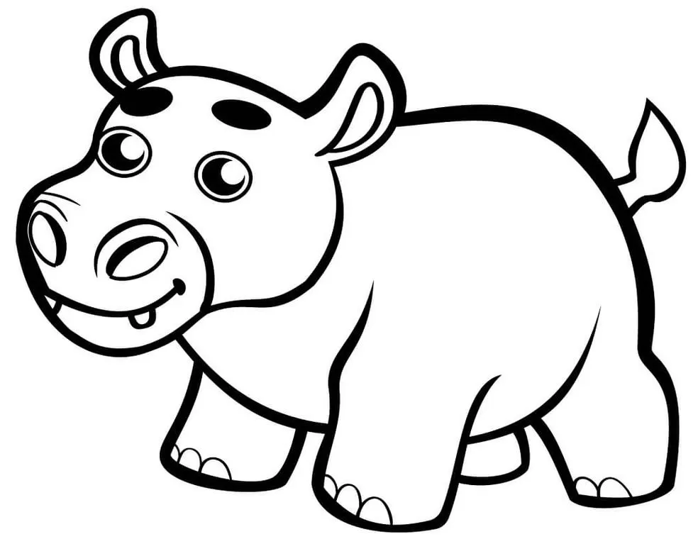 Desenhos de Hipopótamos em PDF para colorir Filhote Hipopótamo filhote para colorir em PDF: arte adorável para diversão criativa
