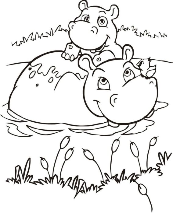 Hipopótamos sorrindo na água: desenho em PDF para colorir com pássaro e plantas aquáticas.