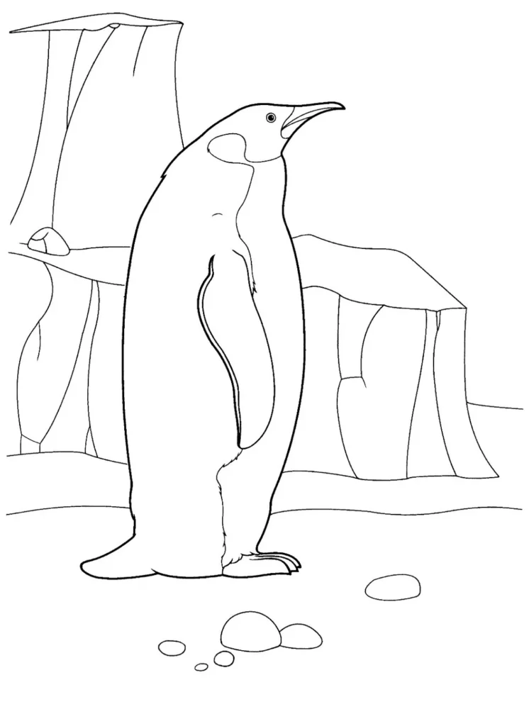 Desenhos de Pinguins em PDF para colorir No Gelo Pinguim no gelo: desenho em PDF para colorir