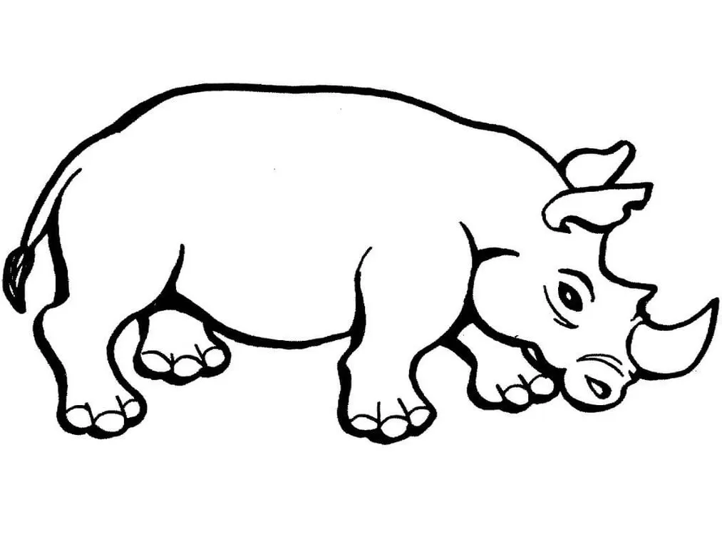 Desenhos de Rinocerontes em PDF para colorir Cabeça Baixa Rinoceronte com cabeça baixa para colorir em PDF.