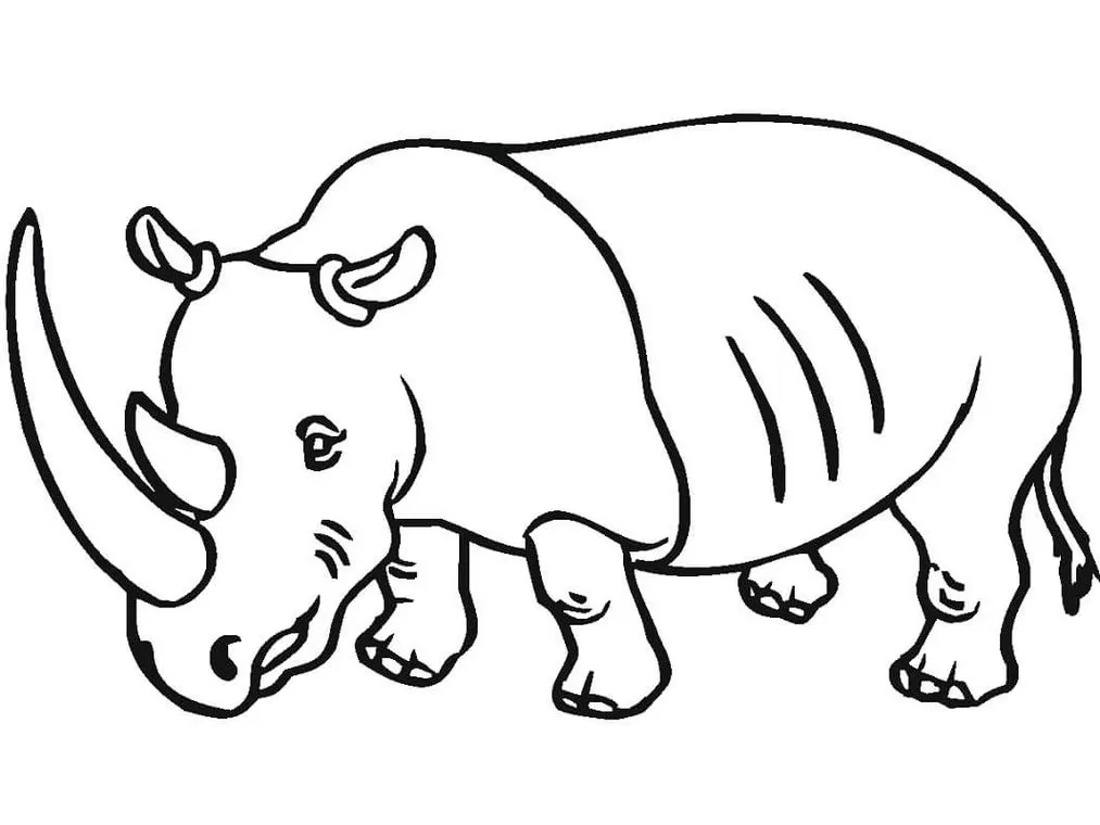 Desenhos de Rinocerontes em PDF para colorir Chifre Grande Desenho de rinoceronte com chifre grande para colorir em PDF
