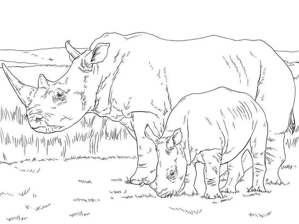 Rinocerontes para imprimir
