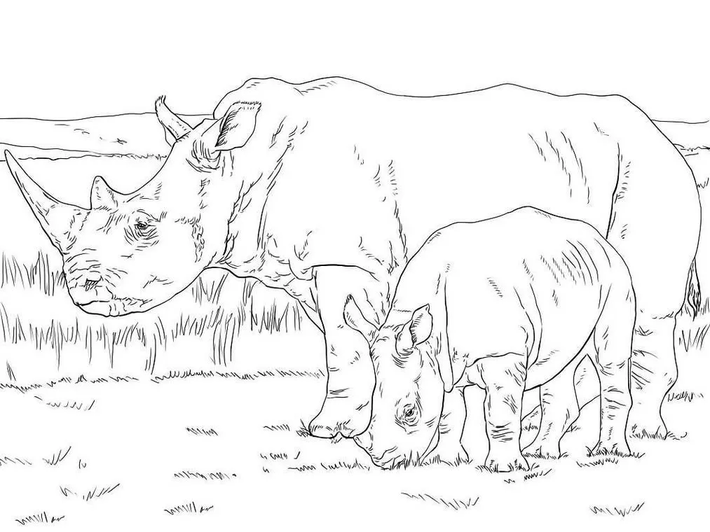Desenhos de Rinocerontes em PDF para colorir Comendo Rinocerontes Comendo: Desenho em PDF para Colorir