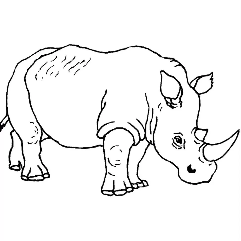 Desenhos de Rinocerontes em PDF para colorir Grandão Rinoceronte para colorir: desenho em PDF de rinoceronte robusto com chifres.
