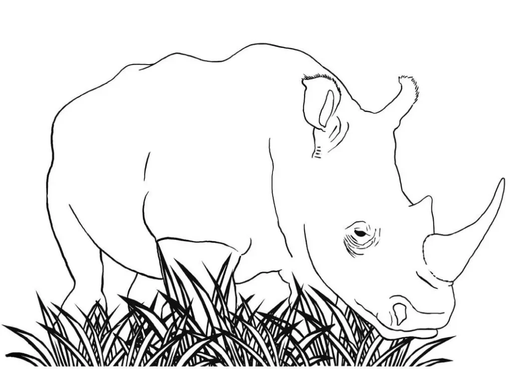 Desenhos de Rinocerontes em PDF para colorir Na Grama Rinoceronte para colorir na grama. Desenho em PDF.