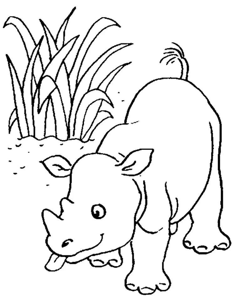 Desenhos de Rinocerontes em PDF para colorir Novinho Rinoceronte amigável para colorir em PDF