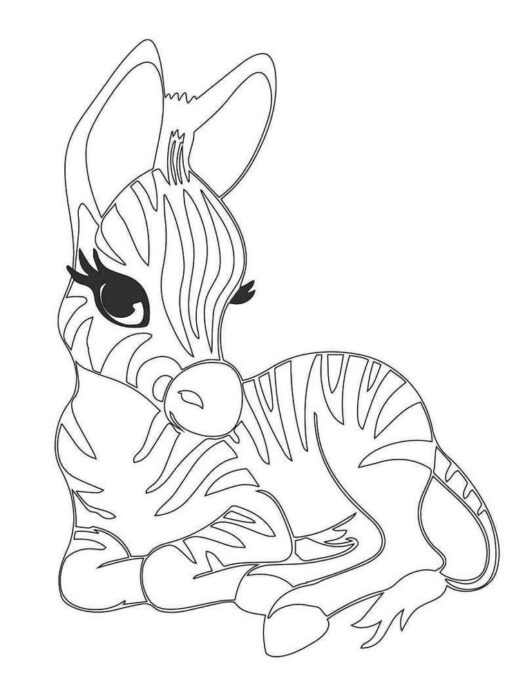 Zebra bebê adorável para colorir em PDF