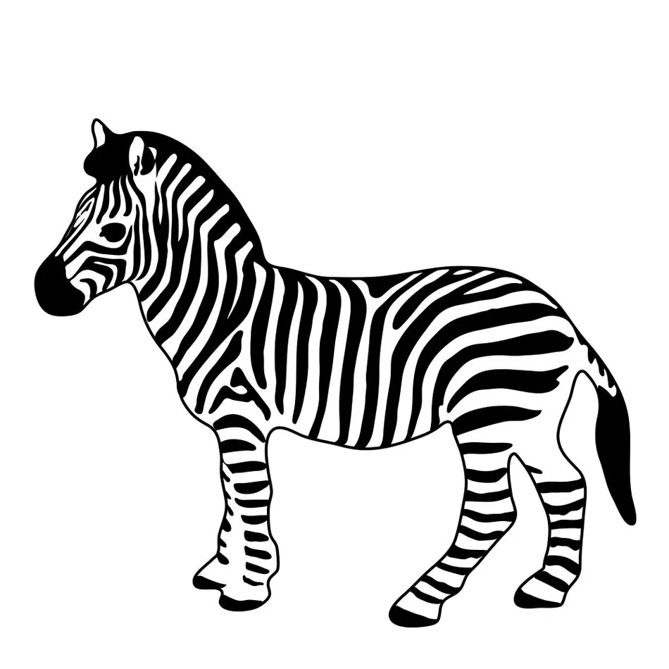 Desenhos de Zebras em PDF para colorir Listrada Desenho de zebra listrada para colorir em PDF. Veja o padrão característico no corpo e rosto do animal.