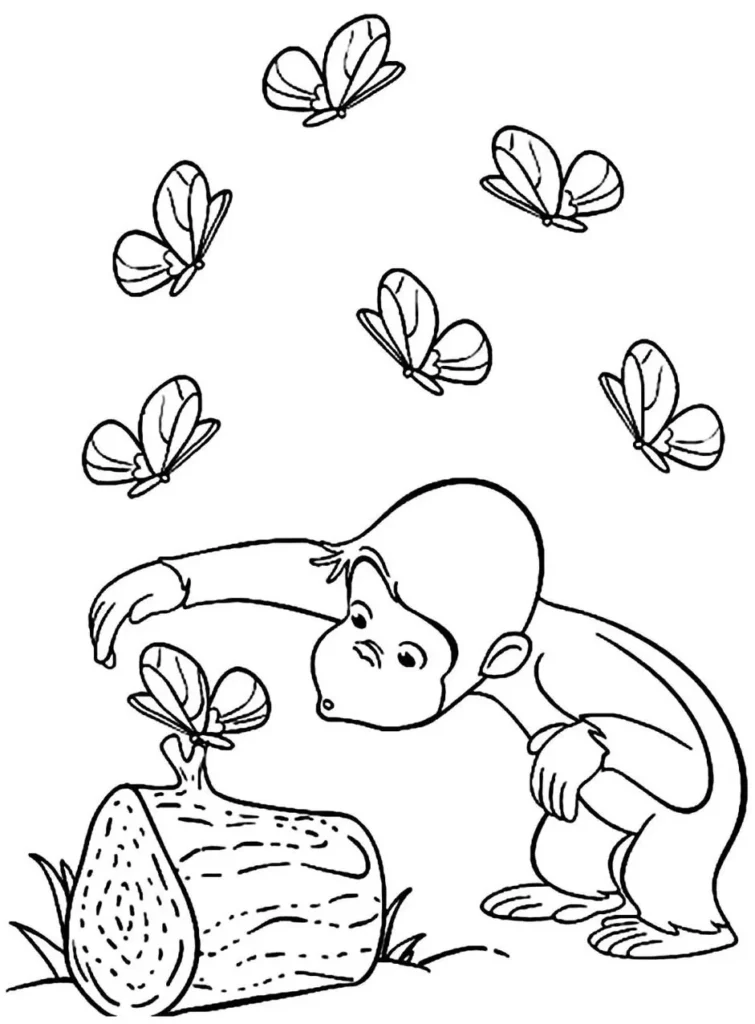 Desenhos do Macaco George PDF pra colorir Curioso Macaco George Curioso observa borboleta em desenho para colorir