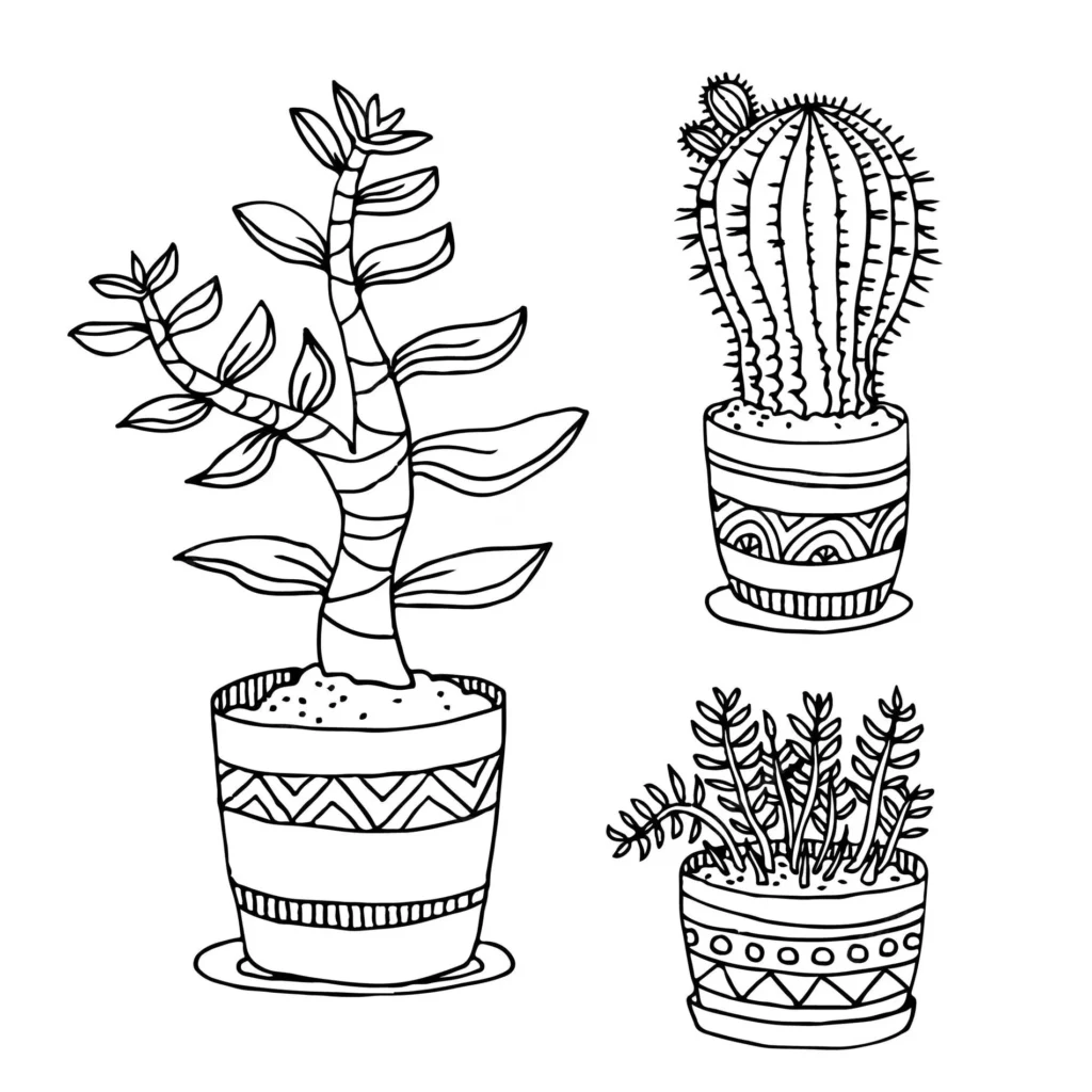 Desenhos de Cactos e Plantas em Vasos para Colorir