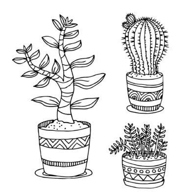 Plantas Desenhos para colorir