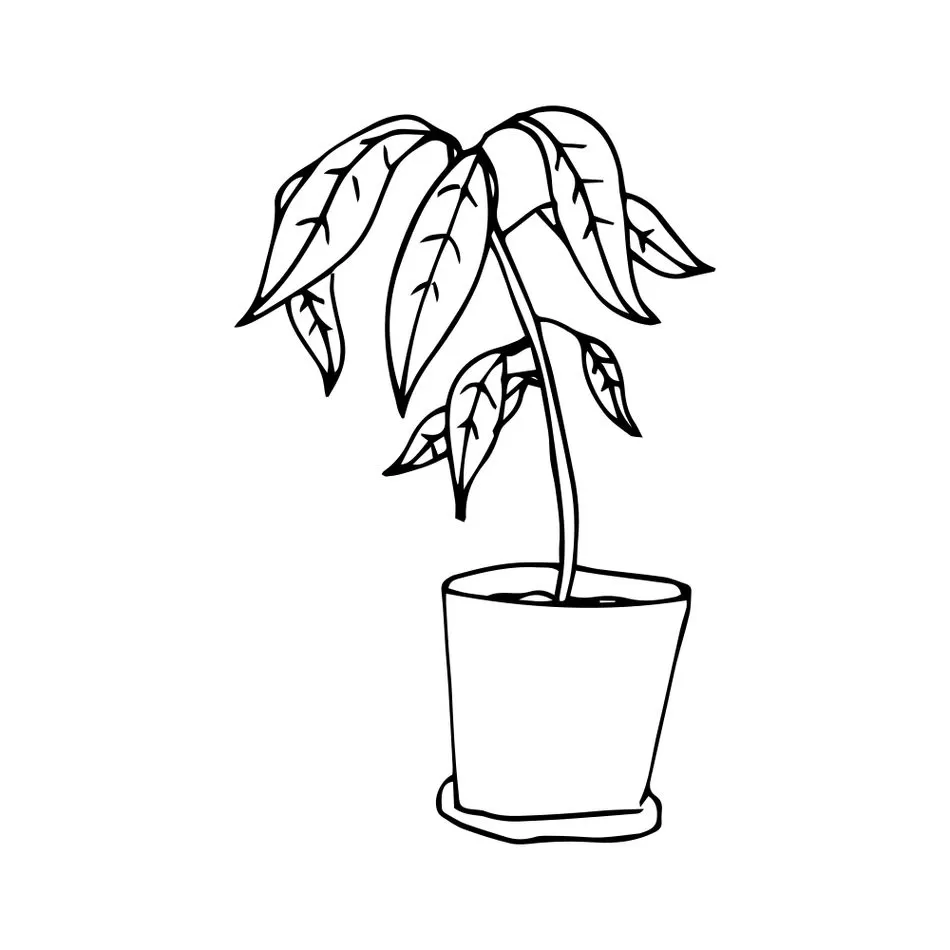 Planta em vaso para colorir, ideal para atividades criativas sem uso de água.