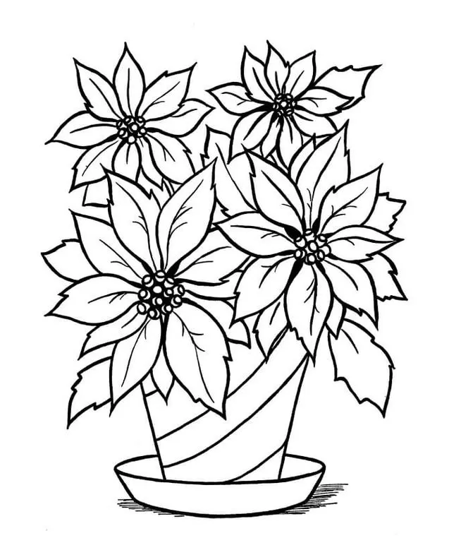 Desenho de vaso com poinsétias para colorir. Arte floral com vaso listrado e flores com pétalas pontudas.