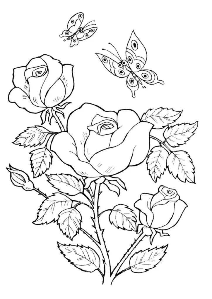 Rosas e borboletas para colorir: natureza em desenho.