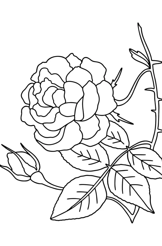 Rosa com espinhos para colorir: arte floral para atividades criativas