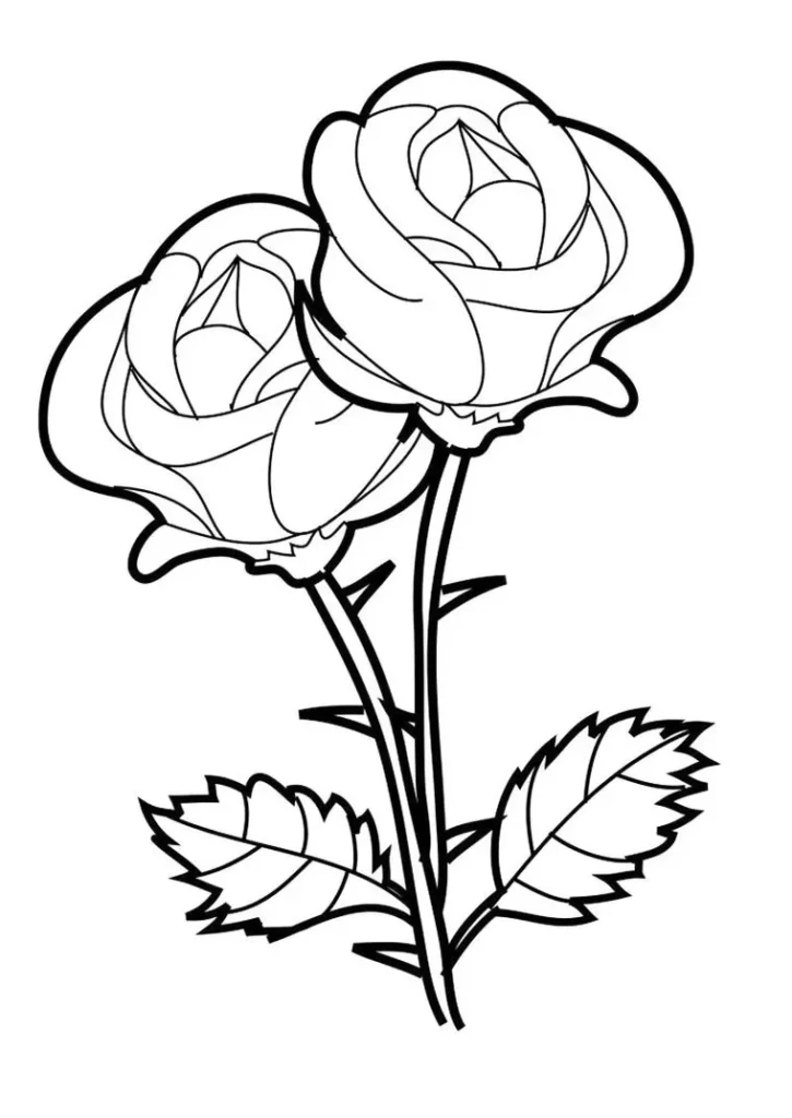 Desenho de duas rosas para colorir, com pétalas, caules e folhas.