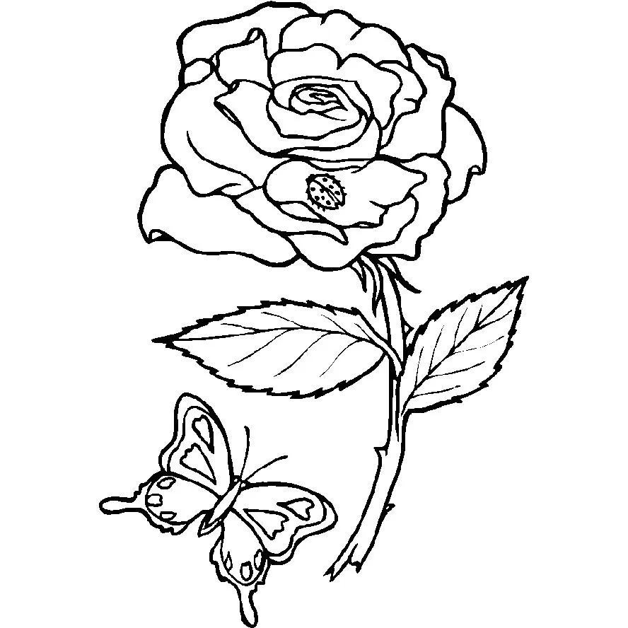 Rosa com Joaninha e Borboleta para Colorir