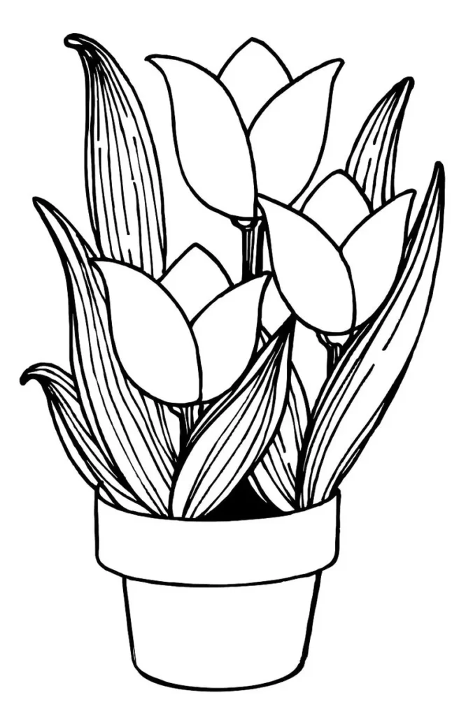 Vaso com tulipas para colorir: Desenho encantador com pétalas e folhas bem definidas.