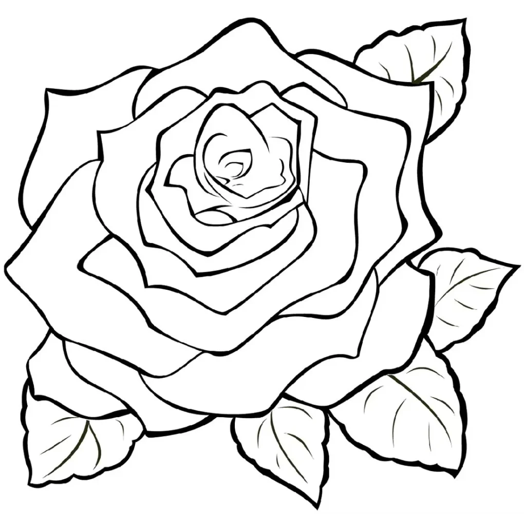 Desenho de rosa artística para colorir, com pétalas espiraladas e folhas