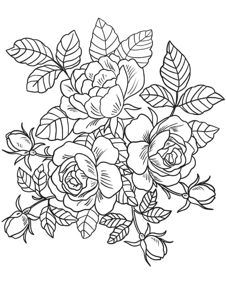 Composição floral com rosas em diversos estágios, ideal para colorir e dar vida a um jardim de papel.