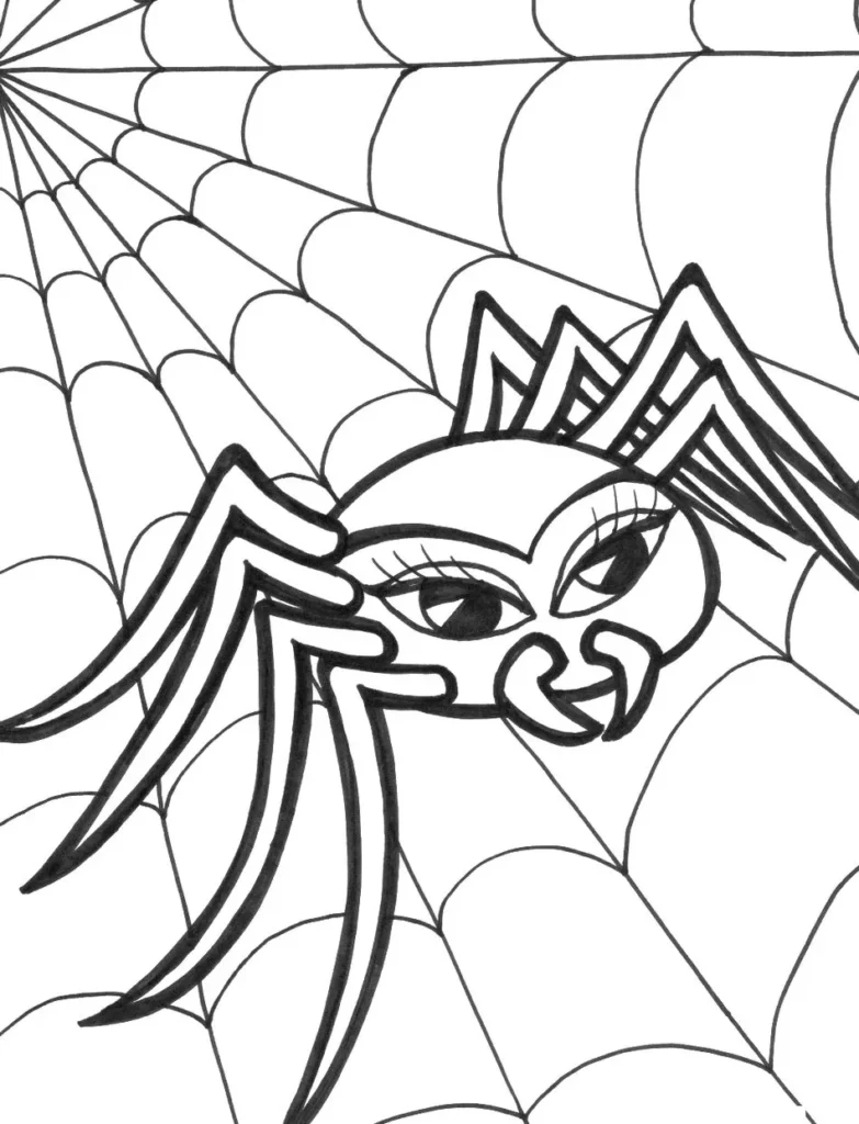 Desenhos de Aranhas para pintar Dona Aranha Aranha estilizada com cílios em teia para colorir
