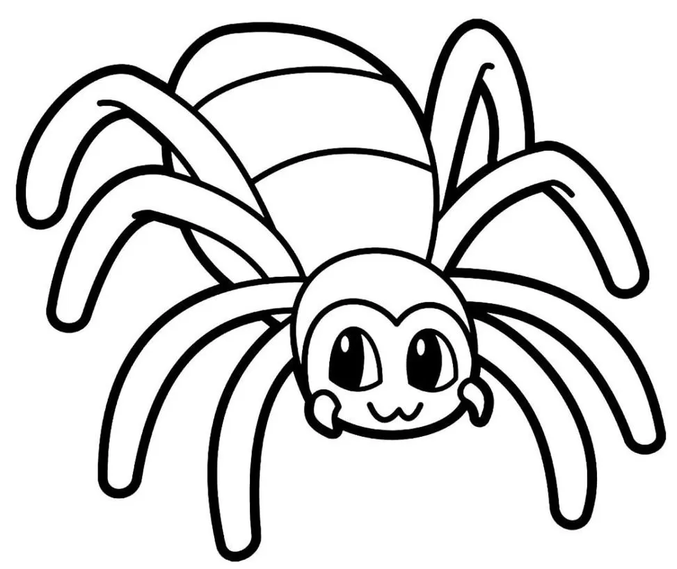 Desenhos de Aranhas para pintar Fofinha Aranha amigável para colorir: desenho divertido e fofo